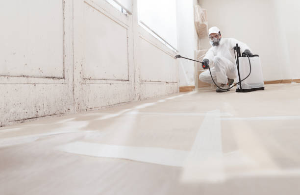 24/7 Emergency Attic Mold Removal experts in Newport, TN